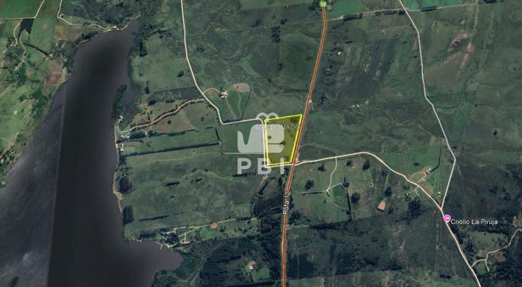 Chacra en venta en Laguna del Sauce, Punta - Ref