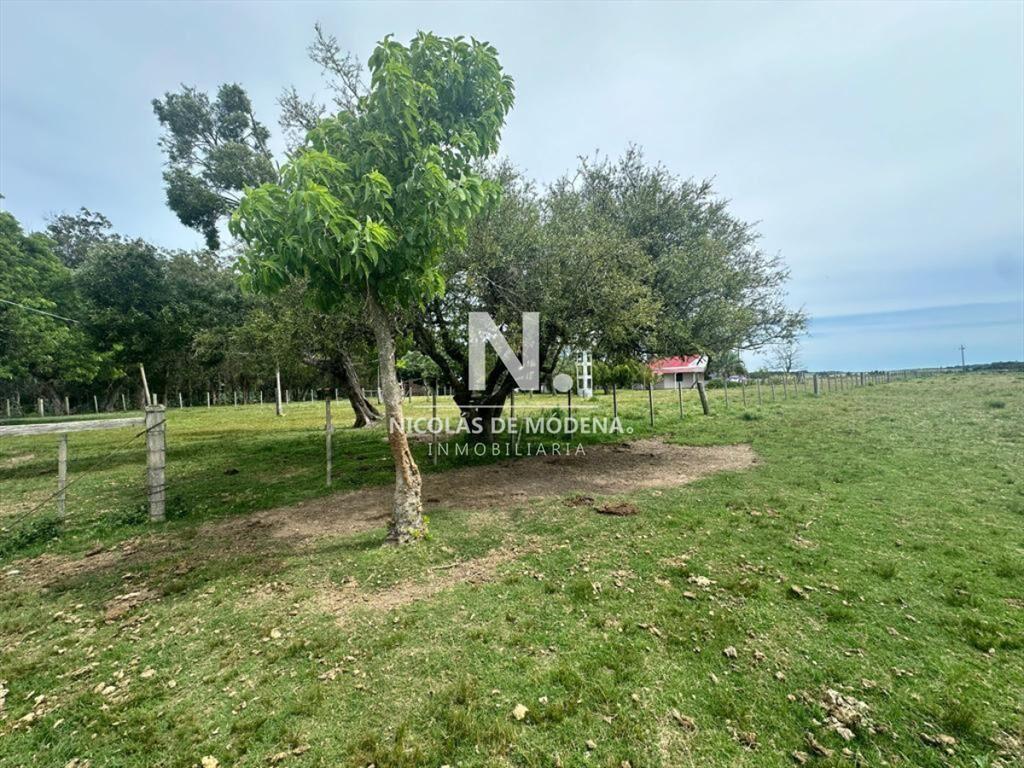 Chacra en Venta de 53 hectareas en Pan de Azucar