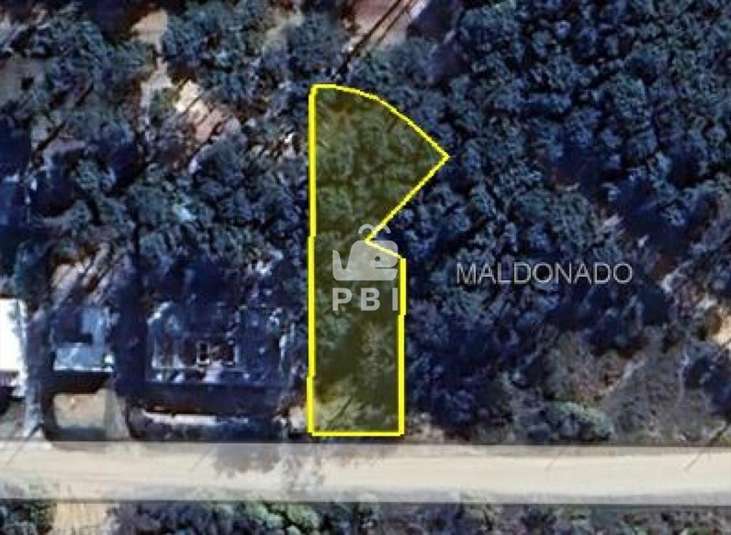 Terreno en venta en Ocean Park, Punta Ballena -