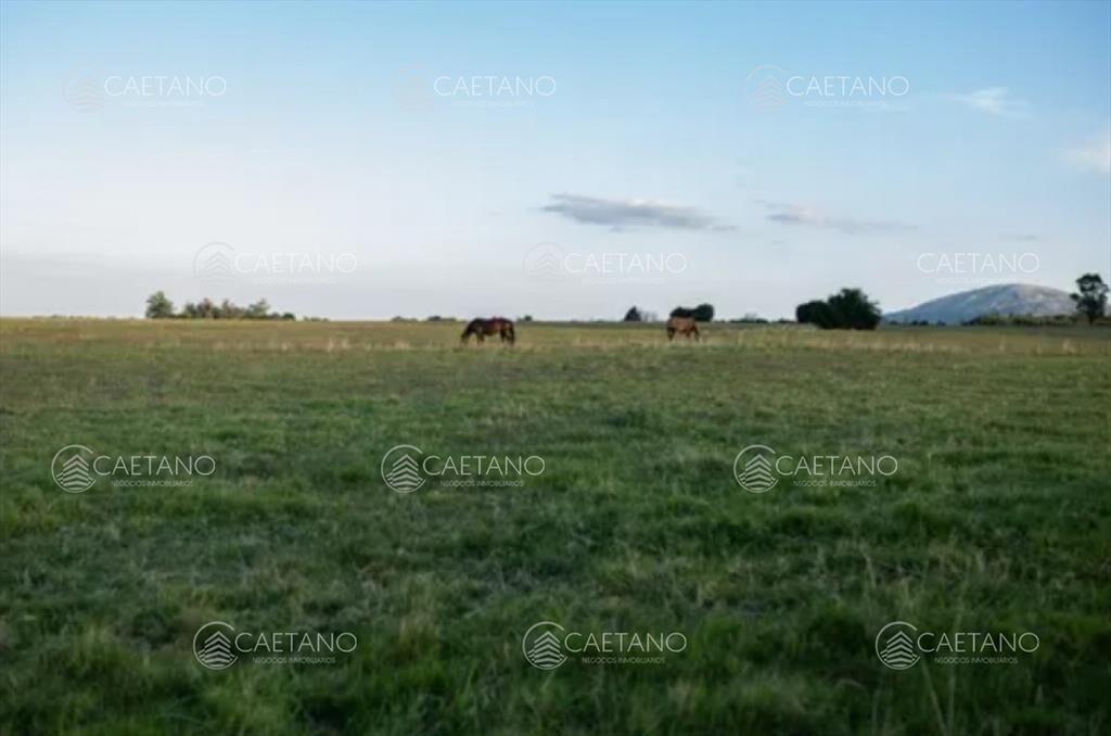 Chacra 5 hectáreas ruta interbancaria Maldonado