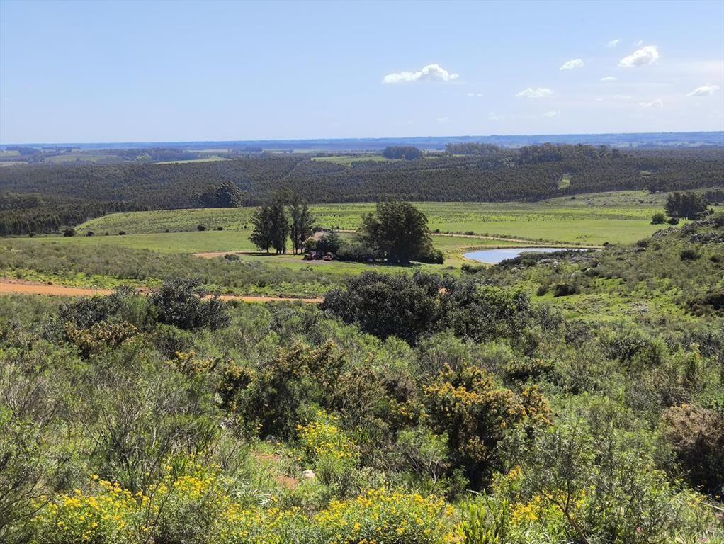 Venta de chacras de 5 hectáreas en Lavalleja, cerca de Mina
