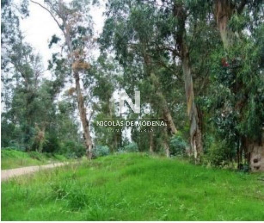 Terreno en venta a poca distancia del centro de