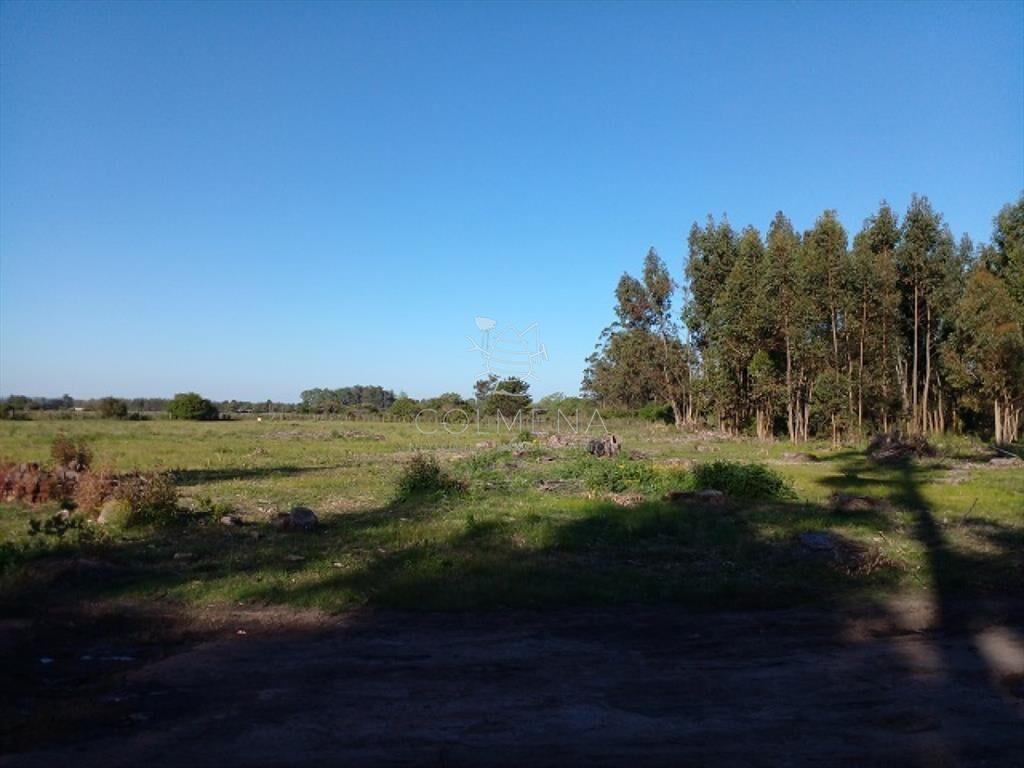 Chacra en La Pataia