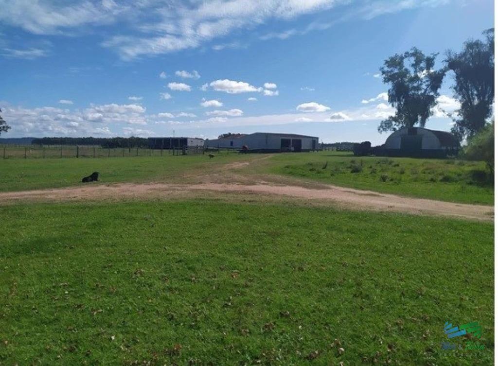 Campo Arrocero-Ganadero 1.636 Has sobre Ruta