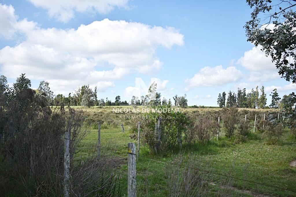 CHACRA SAN CARLOS