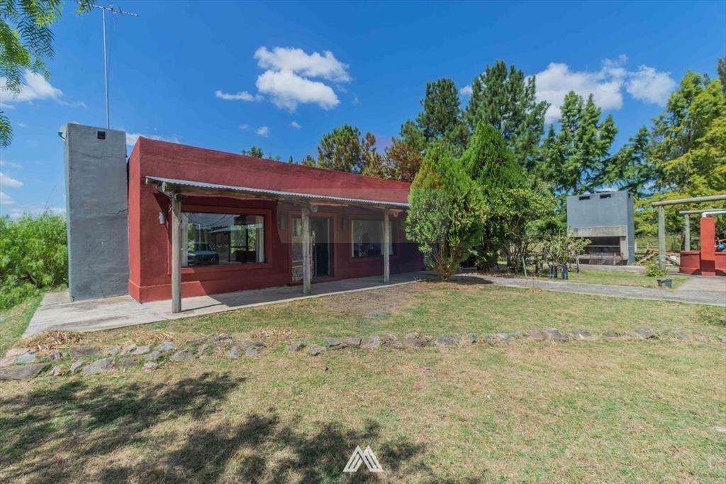 Venta CAMPO 29ha 2 CASAS en Est. Pedrera Ruta 88