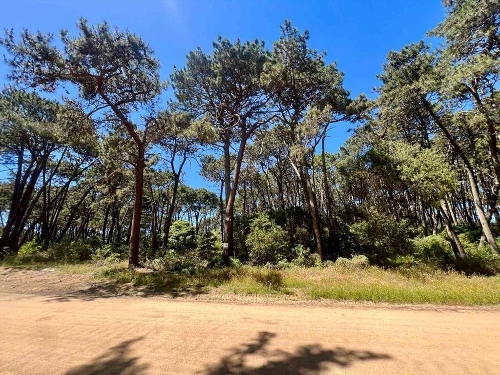VENTA TERRENO DESARROLLO RINCON DEL INDIO