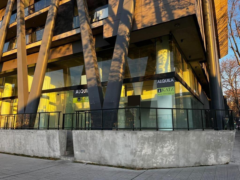 La paz esq. Julio Herrera, 220 m2 de salon, 17 de frente, a