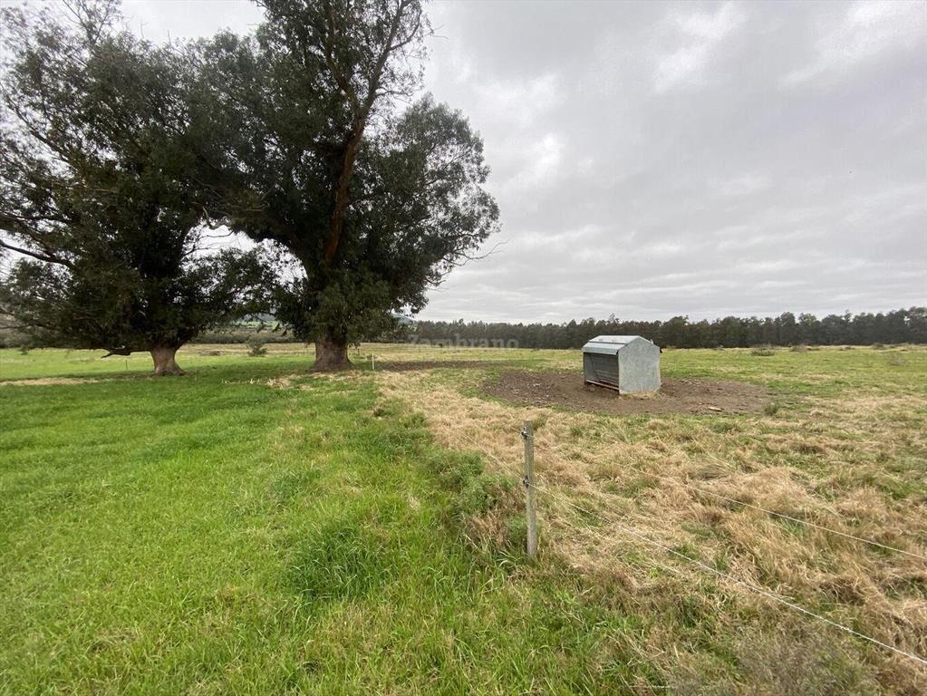 Campo Ganadero I Maldonado I 313 has