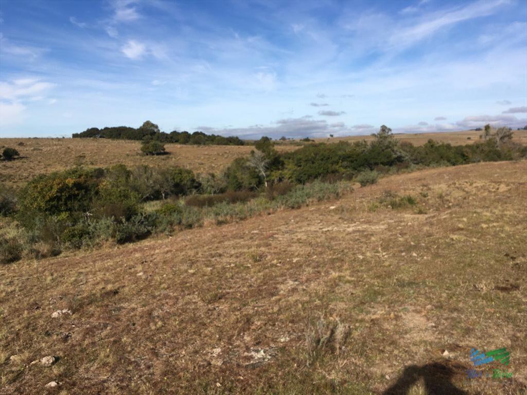 47 Has a 20 minutos Jose Ignacio y 3 kms de R.9