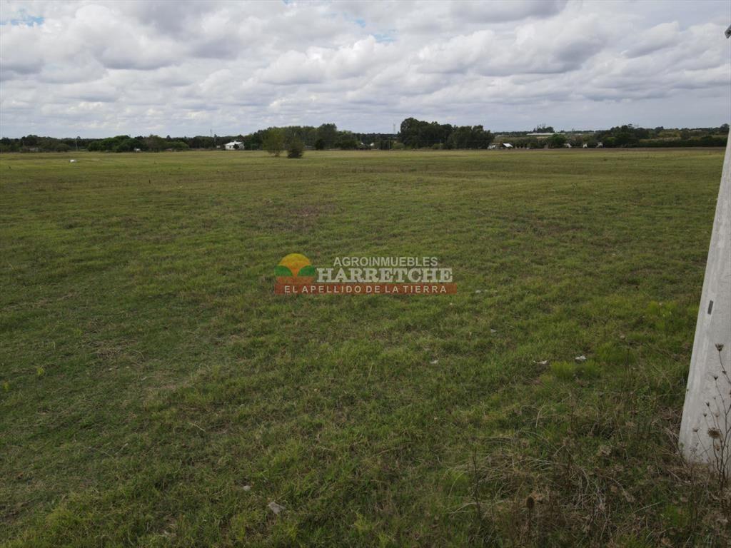 Terreno de 364 m2 en Progreso, Jardín de los (1)
