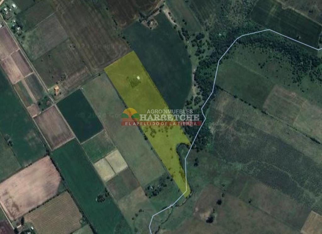 Chacra de 5 has en Los Cerrillos, cañada, muy