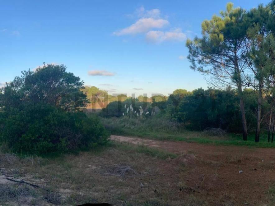 VENTA 4 TERRENOS LA ESMERALDA