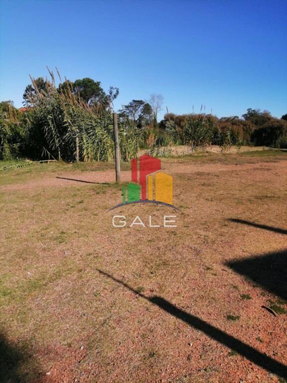 Impecable Terreno Para Inversionistas