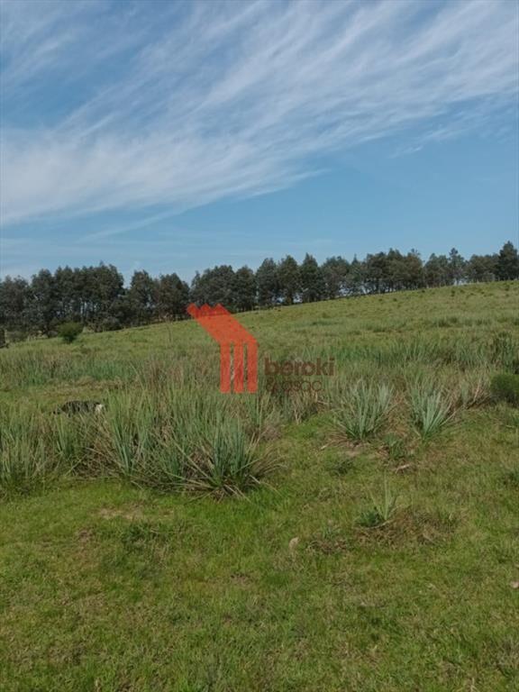venta campo de 10hs Maldonado, Rincon de Los