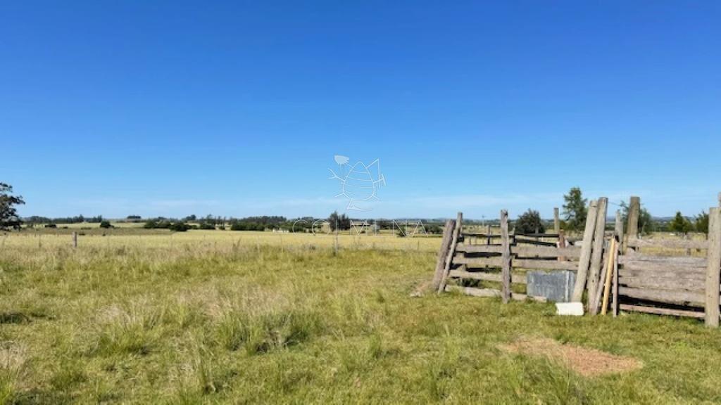 Se venden 2 chacras a 15 km de San Carlos
