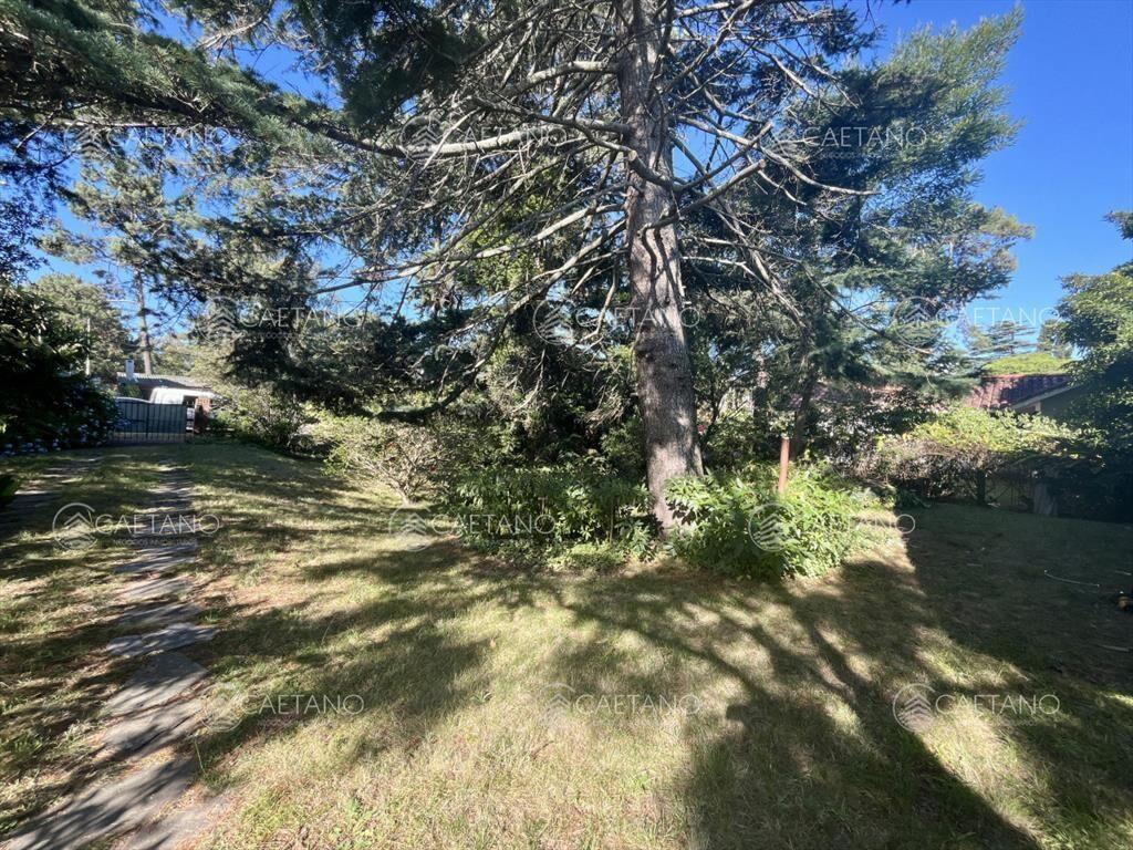 Venta casa 3 dormitorios. Pinares, Punta del Este