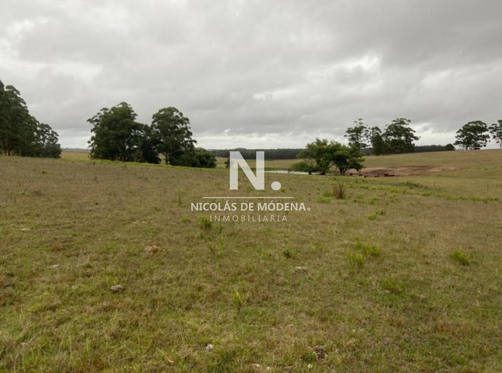 Campo en Ruta 104, 20 hectáreas