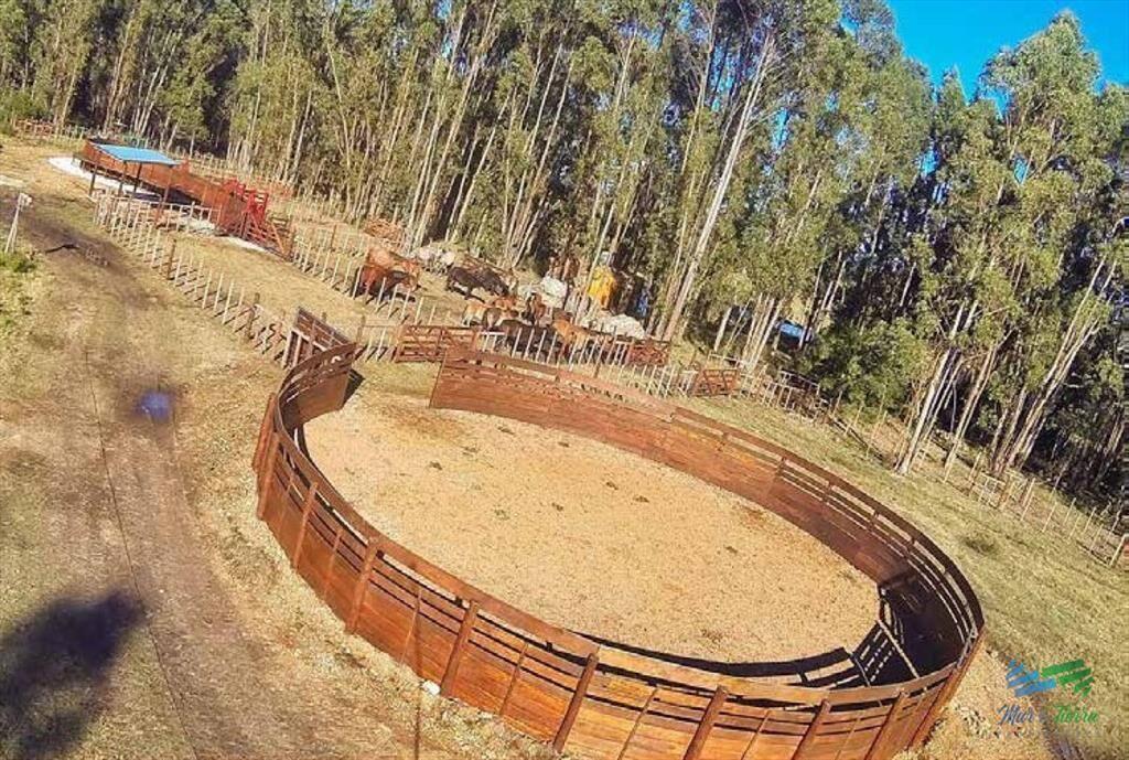 Espectacular Campo con todas las comodidades y a