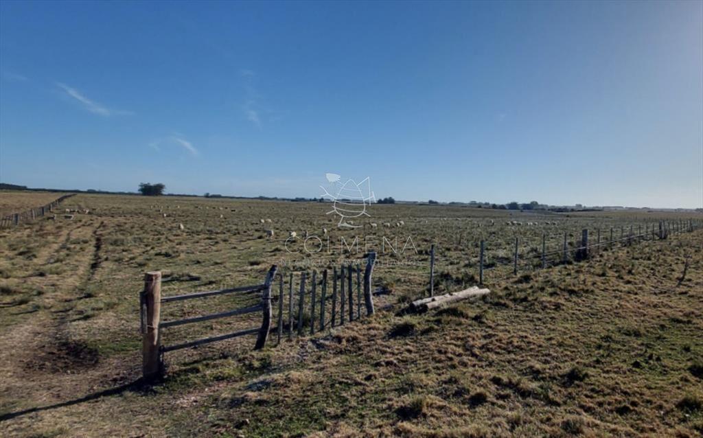 Campo en Las Garzas frente ruta y cerca del mar.