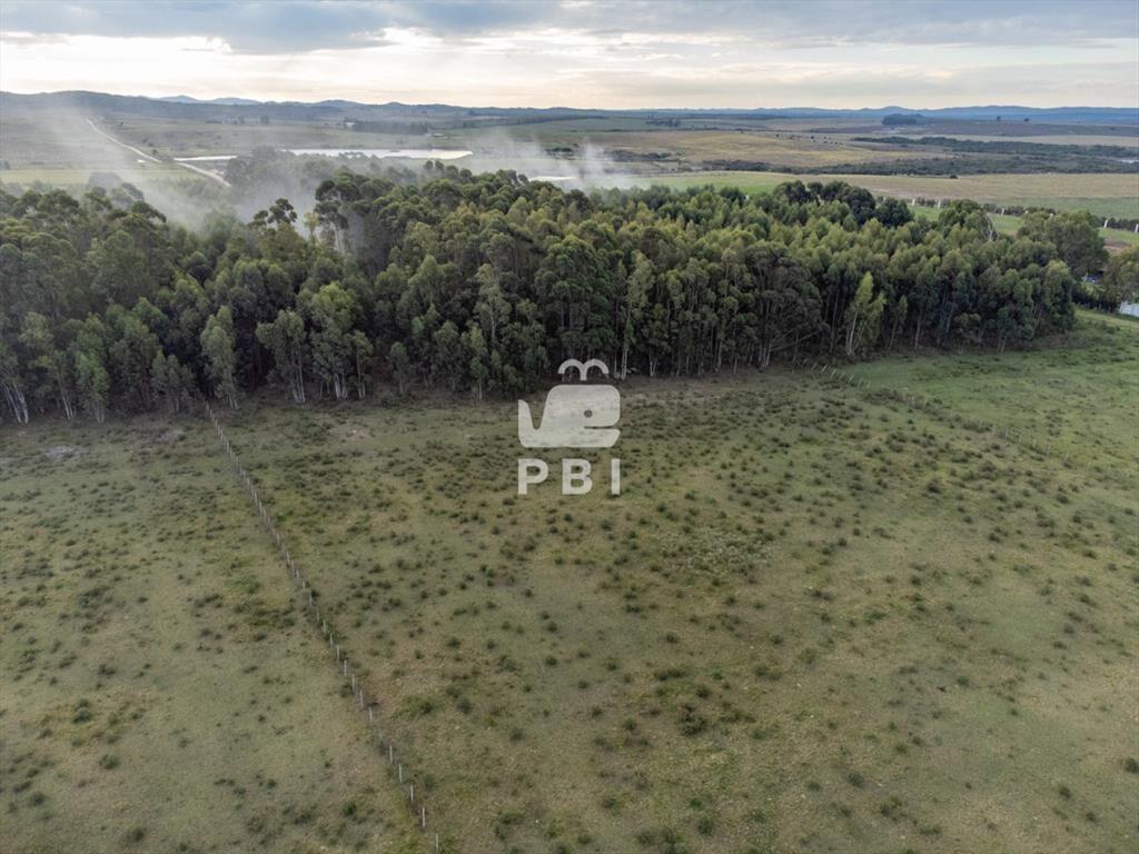 Chacra en venta en Laguna del Sauce, Punta  - Ref