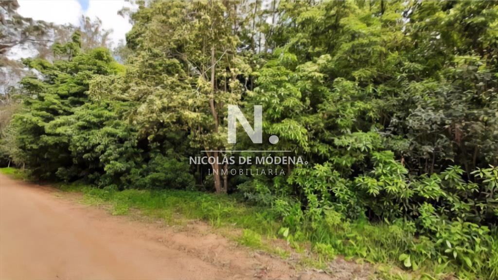 En venta 2 padrones de terreno en Laguna del