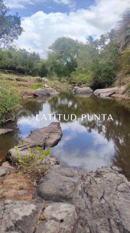 Chacra 11ha en Maldonado vende o permuta.