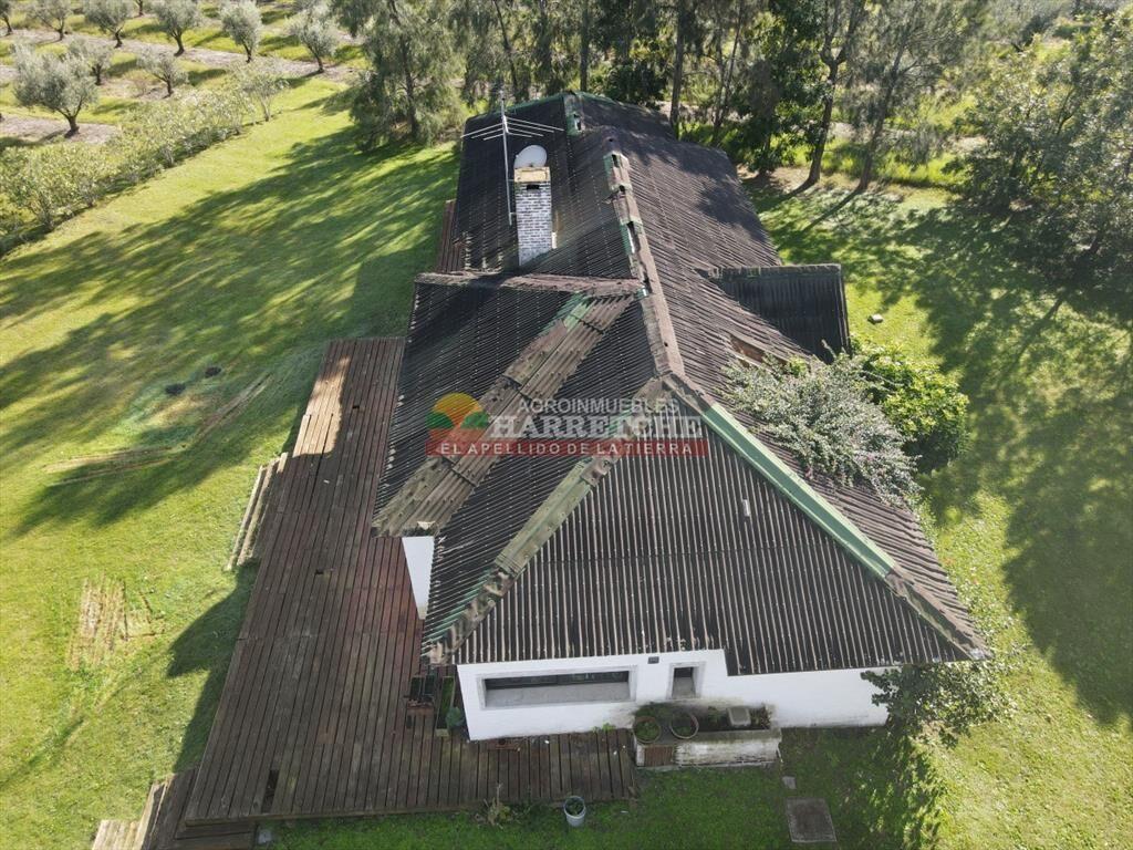 Campo de Olivos en venta, con fábrica de aceite
