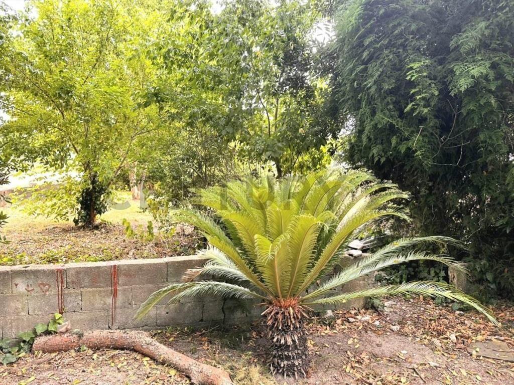 Venta/Delta del Tigre/ 3 Dormitorios/Chalet 125 m²/Garaje...