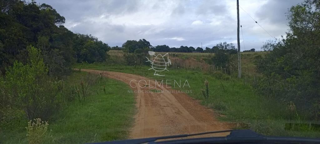 Campo en Rocha hacia ruta 15