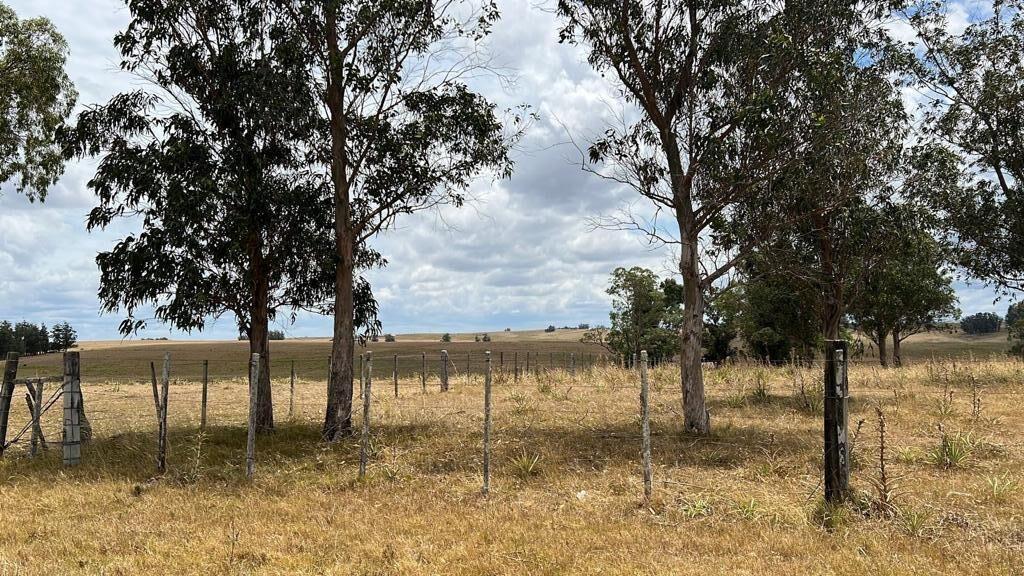 Chacra de 10 ha en venta en Garzón a 15 minutos de José Ign