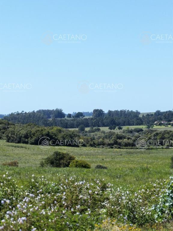 Chacras de 3 hectareas Ama Jose Ignacio , desde