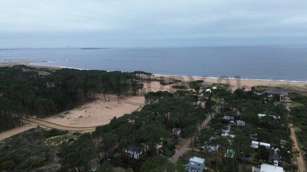 Punta Ballena sobre ruta /pegado estación  DISA /Lote 802...
