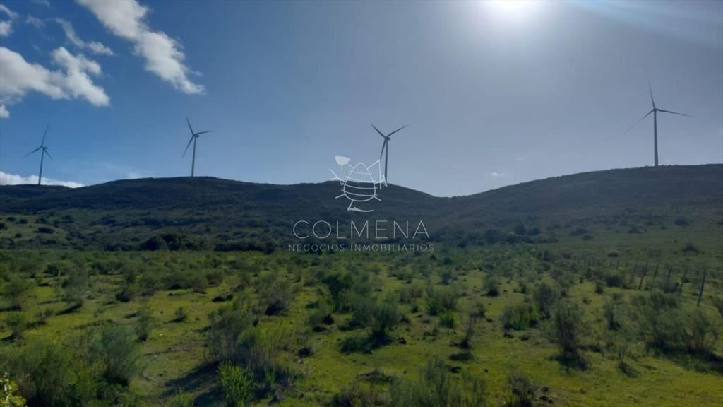 Campo en los Caracoles de 5 has  y 6 has