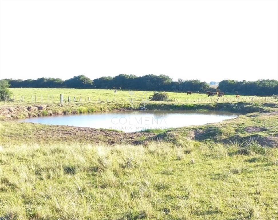 Campo 10 has 4336 m2 en Corte la Leña