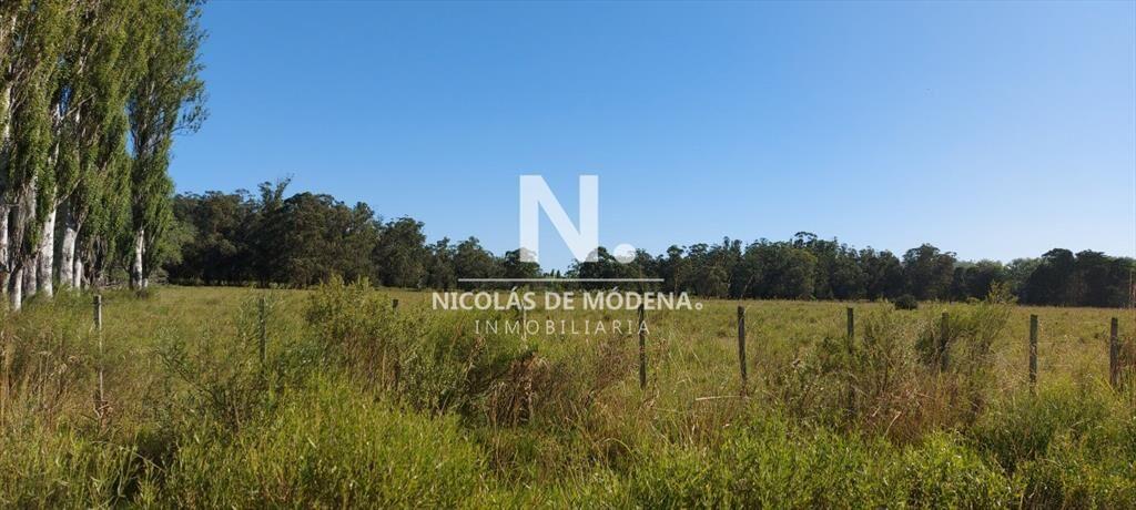 Venta fracción de campo en zona La Pataia