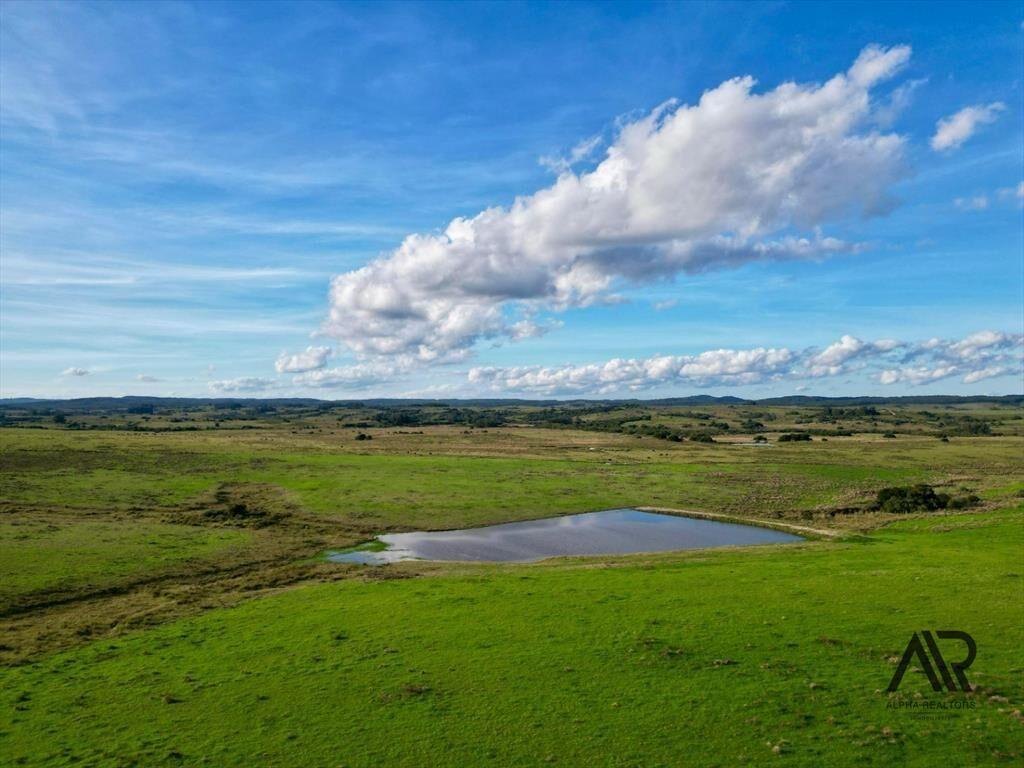 Chacras de 3ha/60 ha en Garzón, con caminería y luz en l...