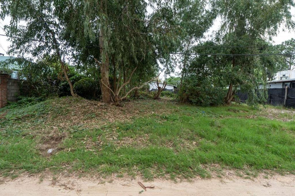 Venta terreno en El Pinar a metros Interbalnearia