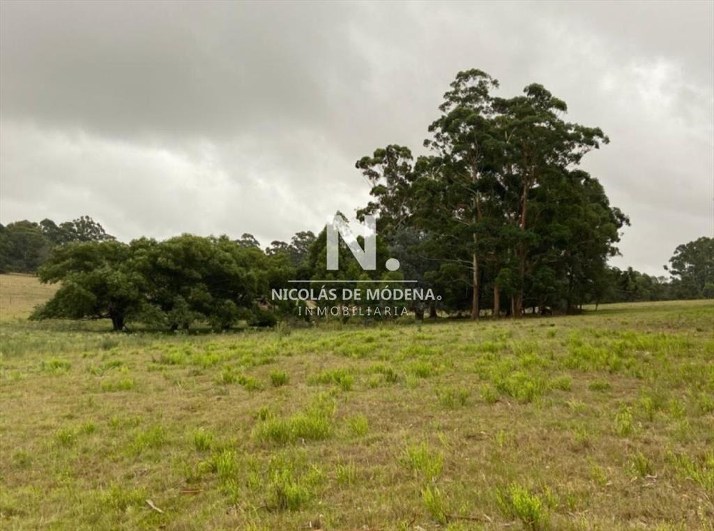 Campo en Ruta 104, 20 hectáreas