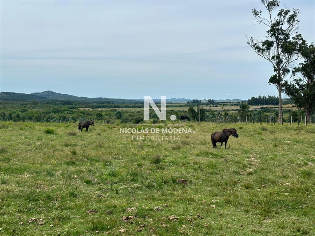 Chacra en Venta de 53 hectareas en Pan de Azucar