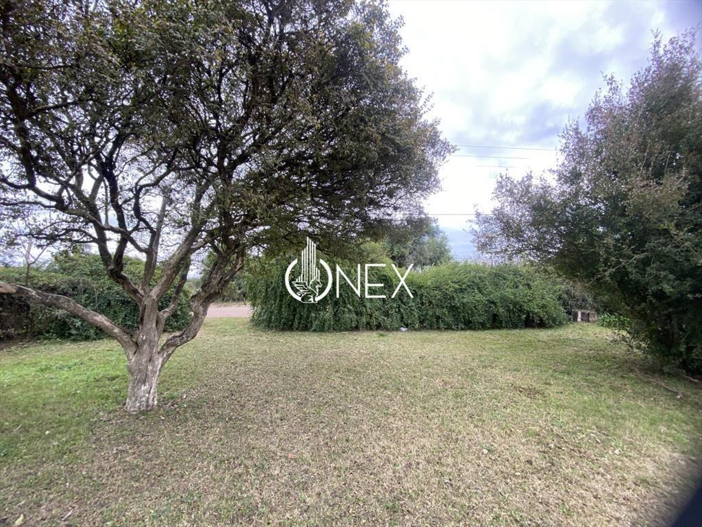 2 TERRENOS EN VENTA NUEVO PAYSANDU