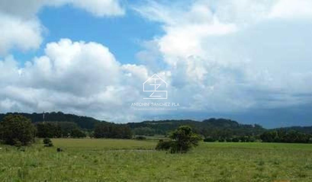 Chacra en venta Punta Ballena La Pataia