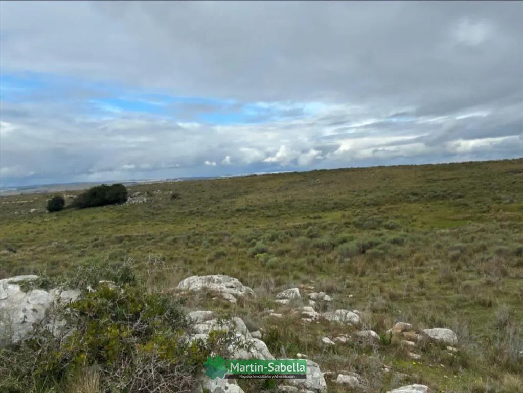 Campo en Venta - Lavalleja