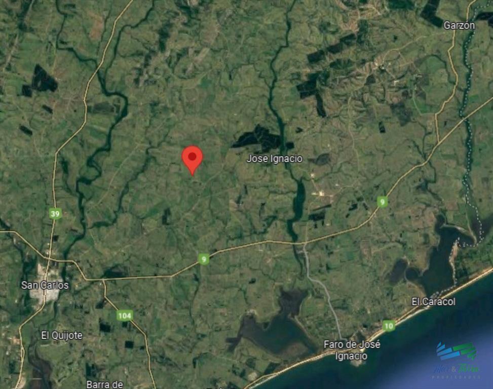Campo de casi 9 hectáreas en venta