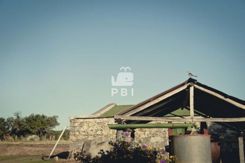 Terreno en venta Las Cañas - Ref : PBI1290