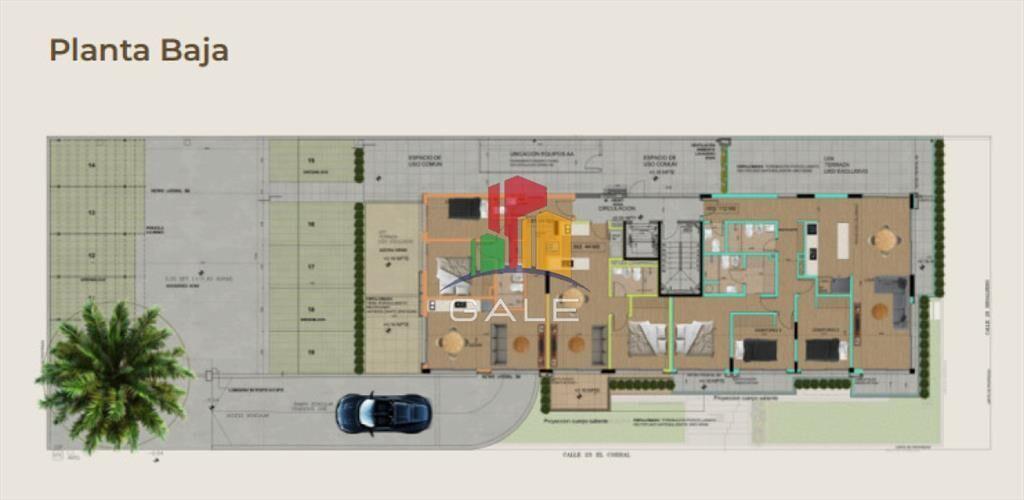PROYECTO MODELO, nuevo lanzamiento en Punta del