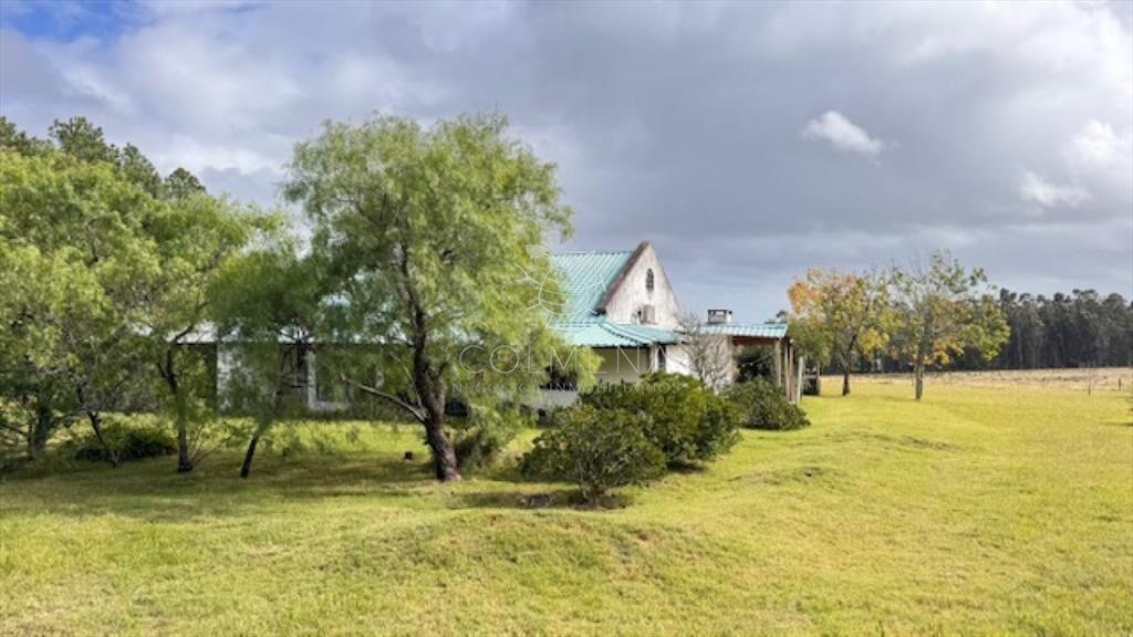 Campo 12 has con casa y piscina a 21 km de Punta