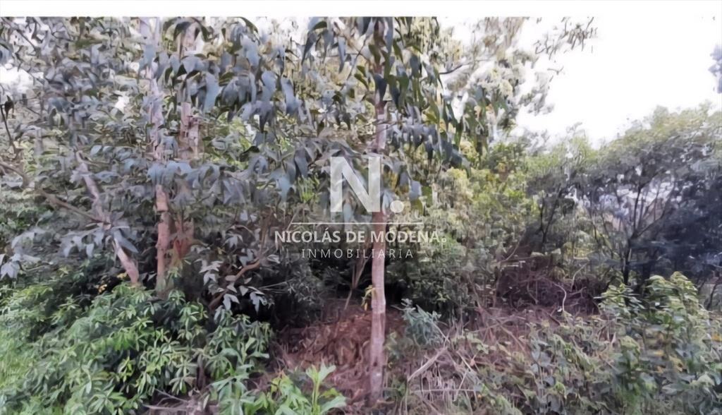 En venta 2 padrones de terreno en Laguna del