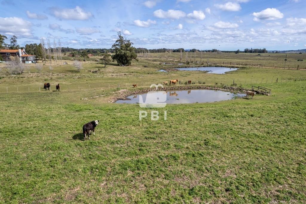 Venta de Chacra en Ruta 12, Pueblo Eden - Ref :