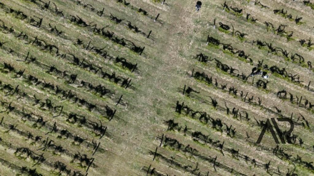 Campo en venta de 69ha ubicado en Atlántida